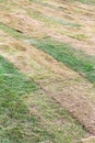 New pieces of turf laid on the field