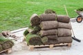 Pieces of turf on a wooden pallet near green lawn