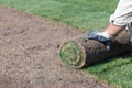 Installing new lawn Royalty Free Stock Photo