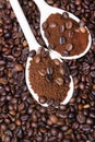 Instant coffee in spoon on coffee beans Royalty Free Stock Photo