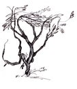 Instant sketch, branchy tree