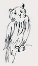 Instant sketch owl