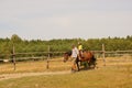 Instructor and child on a brown horse