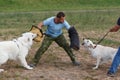 The instructor conducts the lesson with the white Swiss shepherd dog