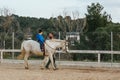 Instructor leading a horse with a child in an equine therapy session. People with disabilities Royalty Free Stock Photo