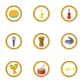 Instrument icons set, cartoon style Royalty Free Stock Photo