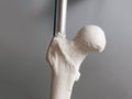 Instrument and plastic bone for orthopedic surgeries training