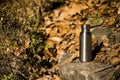 An insulated stainless steel bottle at the forest in the night