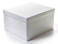 Insulated Styrofoam Delivery Box White Background with Clipping Path for Ecommerce and Food Delivery Applications