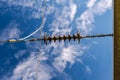 Insulator and power line that supplies electricity Royalty Free Stock Photo