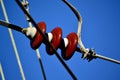 Insulators And Power Lines Royalty Free Stock Photo