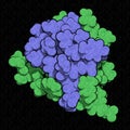 Insulin peptide hormone, 3D rendering. Important drug in treatme