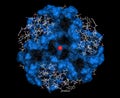 Insulin peptide hormone, 3D rendering. Important drug in treatme