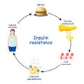 Insulin Resistance. cycle of insulin and glucose