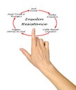 Insulin Resistance Cycle