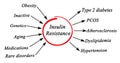 Insulin Resistance