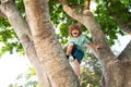 Insurance kids. Kid boy in forest climbing up tree in countryside. Health care insurance concept for family and children Royalty Free Stock Photo