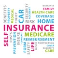 Insurance word cloud. Vector concept illustration II.