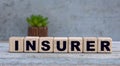 INSURER word on cubes on an old gray background with cactus