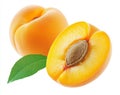 Intact apricot and apricot slice isolated on transparent background. Royalty Free Stock Photo