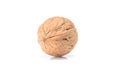 Intact walnut, close up macro, isolated on a white background.
