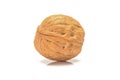 Intact walnut, close up macro, isolated on a white background