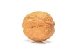 Intact walnut, close up macro from right side, on a white background