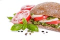 Intalian cuisine concept - caprese salad sandwich with ciabatta