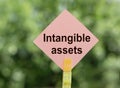 Intangible Assets Sign on a Clothes Peg Against a Green Background Royalty Free Stock Photo