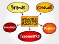 Intangible assets types