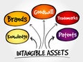 Intangible assets types