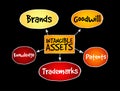 Intangible assets types, strategy mind map