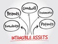 Intangible assets types, strategy mind map