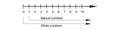 Integers on number line with positive numbers and zero. Math chart for addition and subtraction operations in school