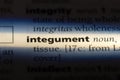 integument Royalty Free Stock Photo