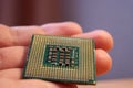 Intel CPU on hand,Pentium 4