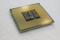 Intel processor cpu close-up for computer Royalty Free Stock Photo