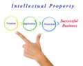 Intellectual property diagram Royalty Free Stock Photo