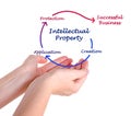 Intellectual property diagram Royalty Free Stock Photo