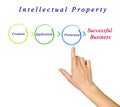 Intellectual property diagram