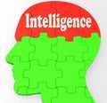 Intelligence Brain Shows Knowledge Information And Education