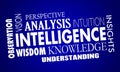 Intelligence Business Knowledge Information Words 3d Illustration