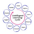 Intelligent Learning Cycle