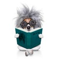 Intelligent smart dog reading a book Royalty Free Stock Photo