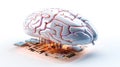 Intelligent Thinking: A Realistic Human Brain Image AI Generated