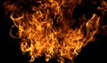 Intense burning fire texture for overlay layer effects. Flame abstract design. Glowing flames on black background. Inferno effect Royalty Free Stock Photo