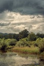 Intense Calm Swamp before a Storm Royalty Free Stock Photo