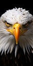 Intense Close-up Of Bald Eagle: Perfect Mobile Lock Screen Background