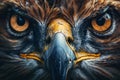 Intense close-up of an eagle face, highlighting its sharp beak and piercing golden eyes amidst detailed feathers Royalty Free Stock Photo