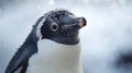 Intense Close-ups Of A Hyperrealistic Penguin In Unreal Engine